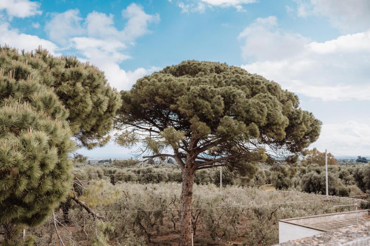 Вилла Masseria Casamassima Agriturismo Остуни Экстерьер фото